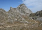 IMG 2708